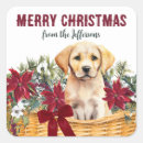 Search for yellow lab puppy stickers Labrador retriever