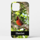 Search for cardinal cases Wildlife