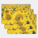 Search for field gift wrap Floral