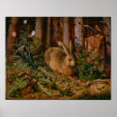 Search for wildlife fine posters Rabbit