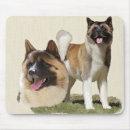 Search for akita dog electronics Dogs