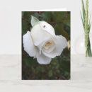 Search for emmet cards Nature