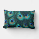 Search for peacock feather cushions Exotic