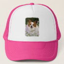 Search for portraits hats Dog