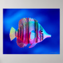 Search for tropical fish posters Animals