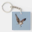 Search for ospreys key rings Bird