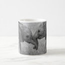 Search for elephant calf mugs Young animal