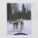 Search for sledding postcards Winter