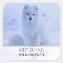 Search for fox in snow stickers Nature