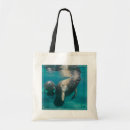 Search for manatee bags Beach