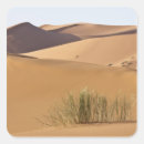 Search for sand dunes stickers Desert