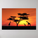 Search for african sunset posters Black