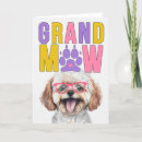 Search for maltipoo cards Dogs