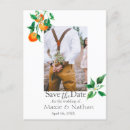 Search for orange blossoms postcards Citrus