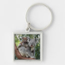 Search for koala bear key rings Baby