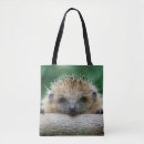 Search for hedgehog bags Young animal