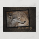 Search for timber wolf postcards Nature