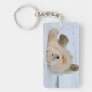 Search for threatened accessories White bear