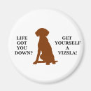 Search for sporting dog magnets Dogs