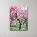 Search for cherry blossom canvas prints Pink