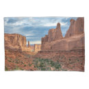 Search for national park pillowcases Desert