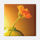 Search for vase magnets Botanical