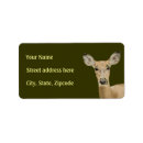 Search for deer hunting return address labels Wildlife