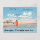 Search for gulls postcards Florida