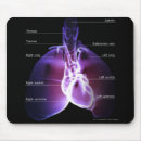 Search for lungs mousepads People