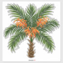 Search for green palm stickers Orange