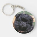 Search for pomeranian key rings Black