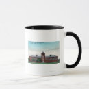 Search for petaluma mugs Lantern