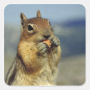 Search for feed the animals stickers Horizontal