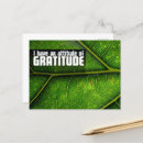 Search for attitude postcards Affirmation