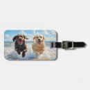 Search for chocolate lab accessories Funny