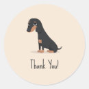 Search for cute sausage stickers Animal