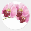 Search for purple orchid wedding stickers Modern