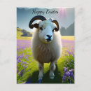 Search for cute sheep postcards Field