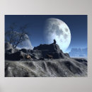 Search for wolfy Animals