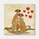 Search for suricates Meerkat