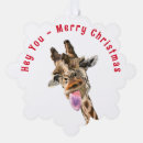 Search for funny giraffe christmas cards Giraffes