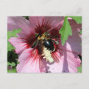 Search for pollen postcards Bees