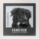 Search for pet puzzles Remembrance
