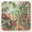 Search for flora home living Ernst haeckel