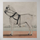 Search for carriage posters Horses