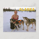 Search for sled dog postcards Winter