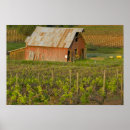 Search for vineyards posters Rustic