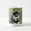 Search for huskie mugs For him