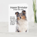 Search for sheltie birthday cards Shetland sheepdog