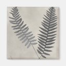 Search for fern magnets Botanical